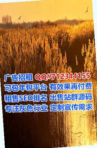黄石卵子金融公司